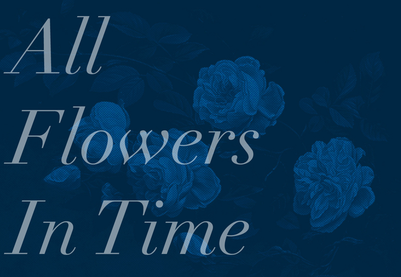 Jonathan Mayhew: All Flowers in Time | Friday 15 January  – Friday 19 February 2016 | 