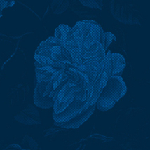 Jonathan Mayhew: All Flowers in Time |  End of Ely Place, Dublin 2 (adjacent to the RHA) | Friday 15 January to Friday 19 February 2016 | to 