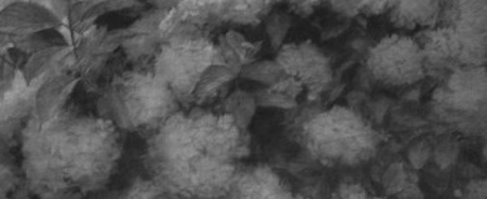 Maeve-McCarthy-RHA-390