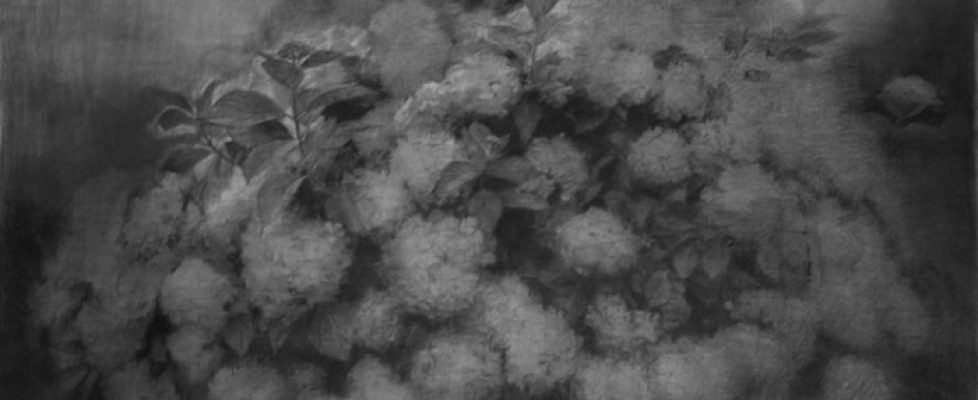 Maeve-McCarthy-RHA-700x390 (1)