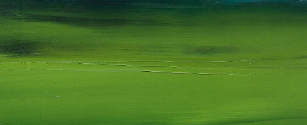 Sean McSweeney Saltwater Land 2015 oil on board 500