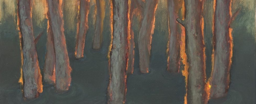 Symbiosis by Ben Readman