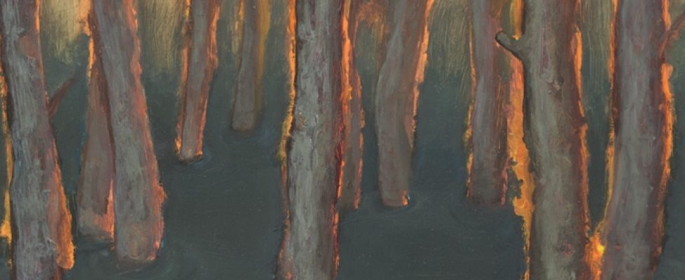 Symbiosis by Ben Readman sm