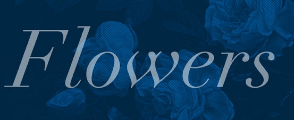 flowers 553