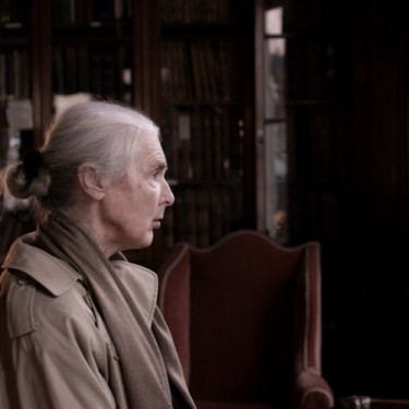 Martin Healy: A moment twice lived |  Crawford Art Gallery 
Emmet Place, Cork | Friday 4 March to Saturday 7 May 2016 | to 