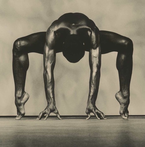 Richard Noble: Arachnid | Richard Noble: Retrospective | Friday 4 March  – Saturday 21 May 2016 | Regional Cultural Centre