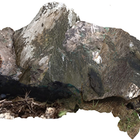 Affective Entities |  CIT Wandesford Quay Gallery 
Cork | Saturday 5 March to Saturday 26 March 2016 | to 