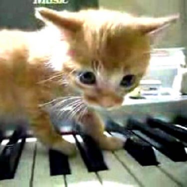 Double Act: Art and Comedy |  Metropolitan Arts Centre (The MAC) 
10 Exchange Street West Belfast BT1 2NJ | Friday 6 May to Sunday 31 July 2016 | to 