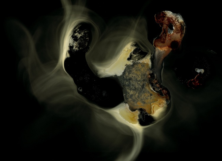 Nadège Mériau: Petite Mort V, 2014 – 2015 | Why is it Always December? | Saturday 16 April  – Wednesday 25 May 2016 | Millennium Court Arts Centre