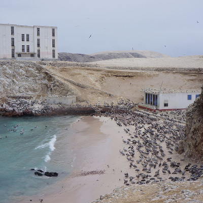 Dinh Q. Lê: The Colony |  VOID 
Patrick Street Derry BT48 7EL | Saturday 14 May to Saturday 2 July 2016 | to 