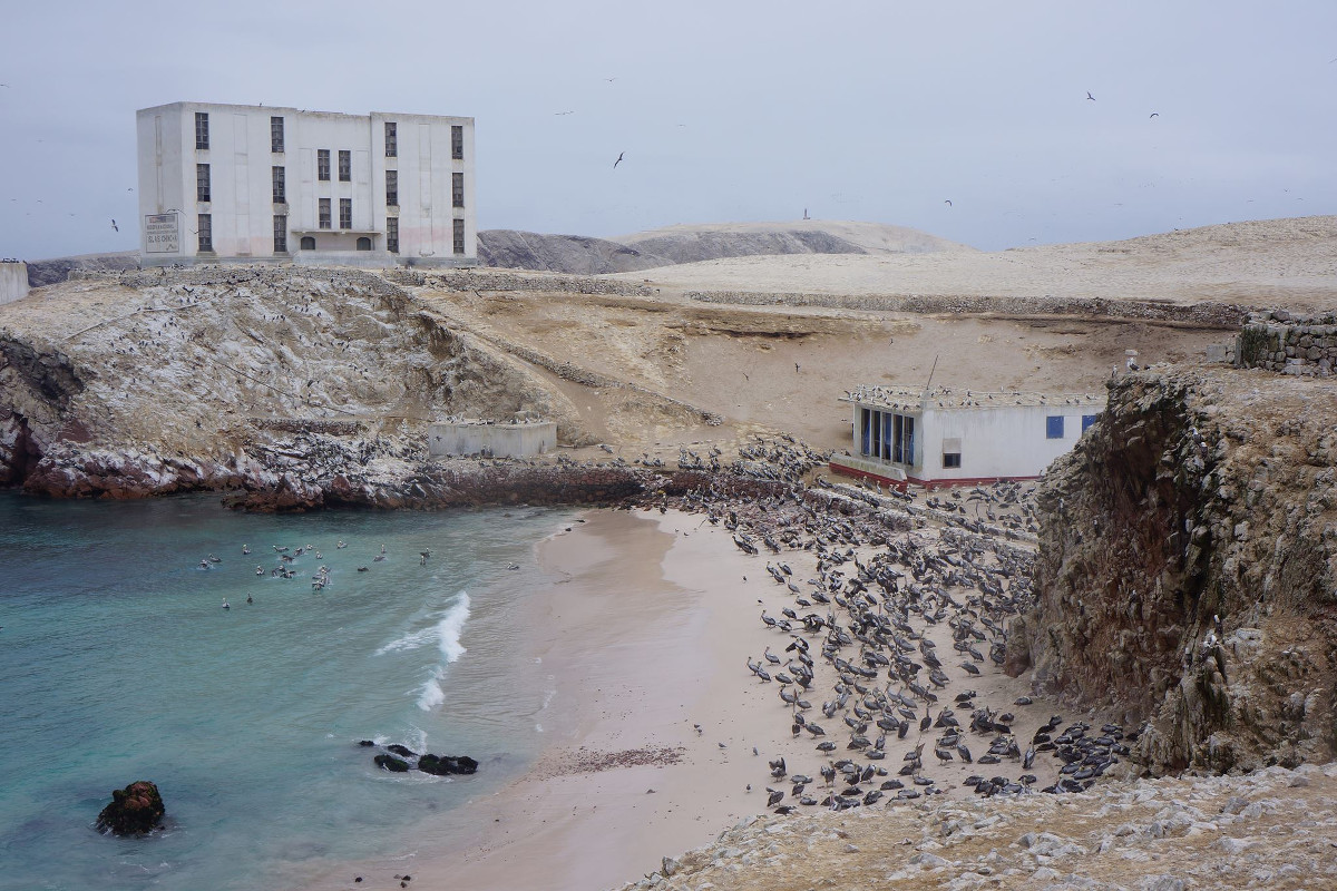 Dinh Q. Lê: The Colony | Saturday 14 May  – Saturday 2 July 2016 | VOID