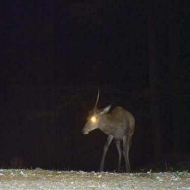 Victories are Short-lived |  Golden Thread Gallery 
23-29 Queen Street Belfast BT1 6EA | Thursday 23 June to Saturday 13 August 2016 | to 