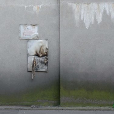 Willie Doherty: Loose Ends |  Regional Cultural Centre 
Port Road, Letterkenny Co. Donegal | Sunday 10 July to Saturday 24 September 2016 | to 