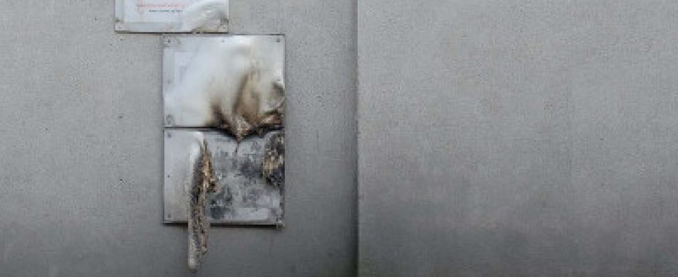 WillieD11-690x690 sq