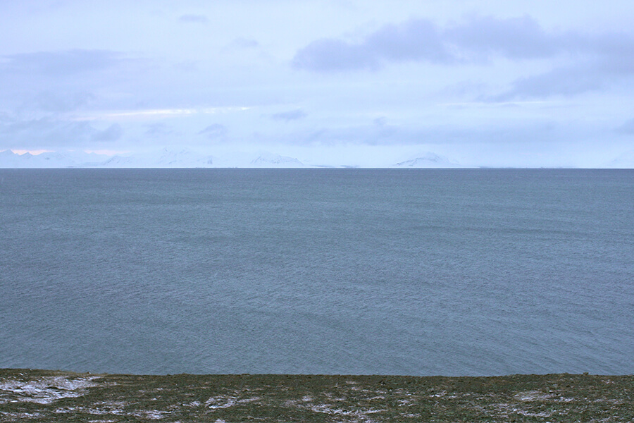 Michael John Whelan: Mysticeti, 2016 | Michael John Whelan: Yellow Amber Grey Amber | Monday 4 July  – Saturday 20 August 2016 | Rua Red