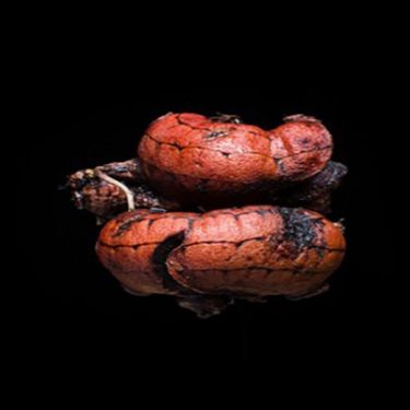 Clodagh Emoe: The Plurality of Existence in the Infinite Expanse of Space and Time |  Shandon Bridge (Pope’s Quay)  | Friday 17 June to Sunday 26 June 2016 | to 