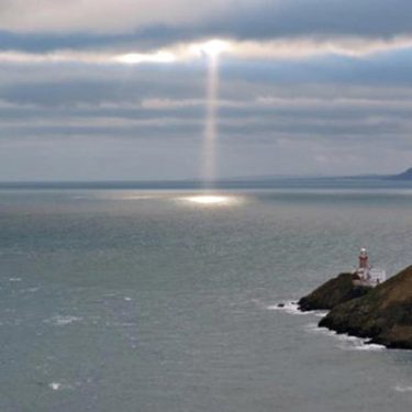 Annie O’Ne: Canthus |  Crawford Art Gallery 
Emmet Place, Cork | Friday 15 July 2016 to Saturday 1 April 2017 | to 