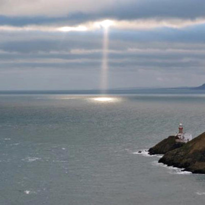 Annie O’Ne: Canthus |  Crawford Art Gallery 
Emmet Place, Cork | Friday 15 July 2016 to Saturday 1 April 2017 | to 