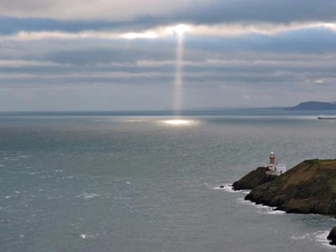 © Ian FitzGerald 2016 | Annie O’Ne: Canthus | Friday 15 July 2016  – Saturday 1 April 2017 | Crawford Art Gallery