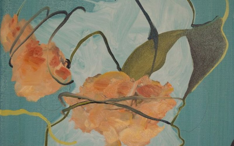 Damien Flood: Terra Incognita | Saturday 9 July  – Saturday 27 August 2016 | Municipal Gallery