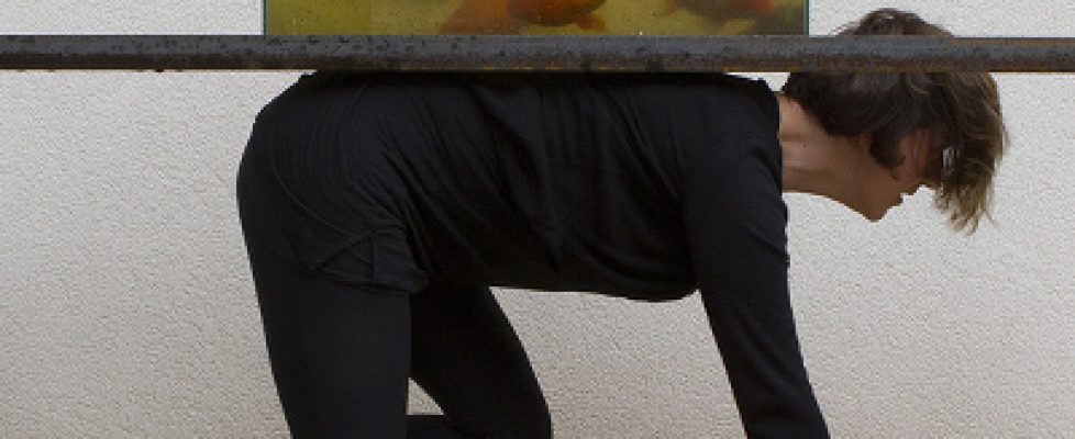 1_cheek-by-jowl-web-res sq