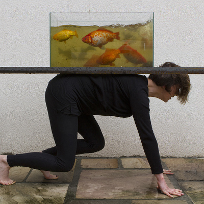 Naomi Sex: Cheek By Jowl |  Crawford Art Gallery 
Emmet Place, Cork | Friday 16 September 2016 | to 