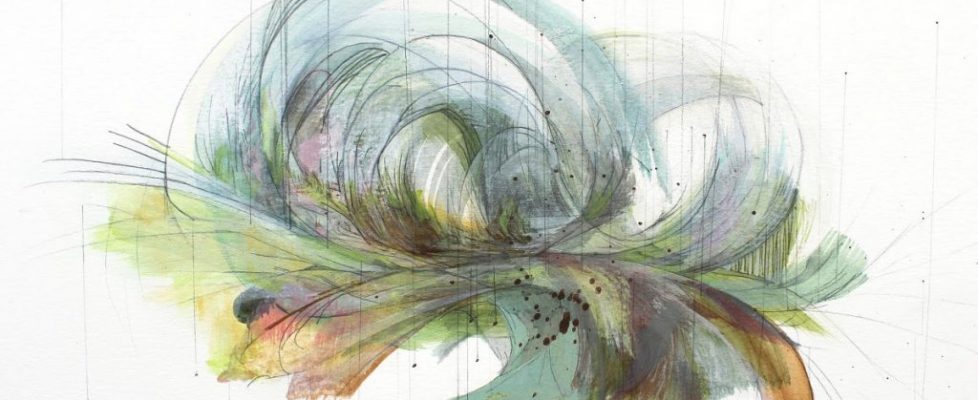 Knotted landscape_Folding pathways.Close up