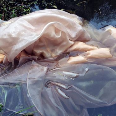 Adaptation |  Farmleigh Gallery 
Phoenix Park Dublin 15 | Friday 26 August to Sunday 9 October 2016 | to 