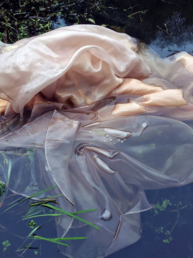 Alva Gallagher | Adaptation | Friday 26 August  – Sunday 9 October 2016 | Farmleigh Gallery