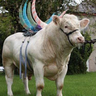 Maria McKinney: Sire |  Royal Hibernian Academy 
15 Ely Place, Dublin 2 | Friday 9 September to Sunday 23 October 2016 | to 