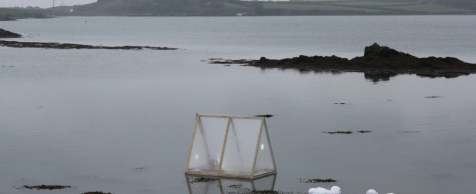 Deirdre Leddin - Rising Tide - May 2016 - Sherkin Island - BAVA