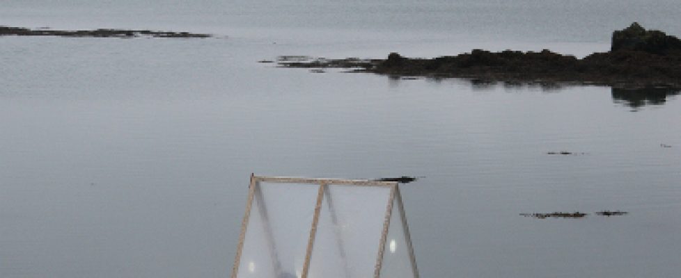 Deirdre Leddin - Rising Tide - May 2016 - Sherkin Island - BAVA sq