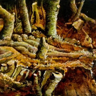 Michael Corrigan: Visions and Dreams |  Toradh Gallery 
Ashbourne Cultural Centre Ashbourne, Co. Meath | Wednesday 12 October to Wednesday 2 November 2016 | to 