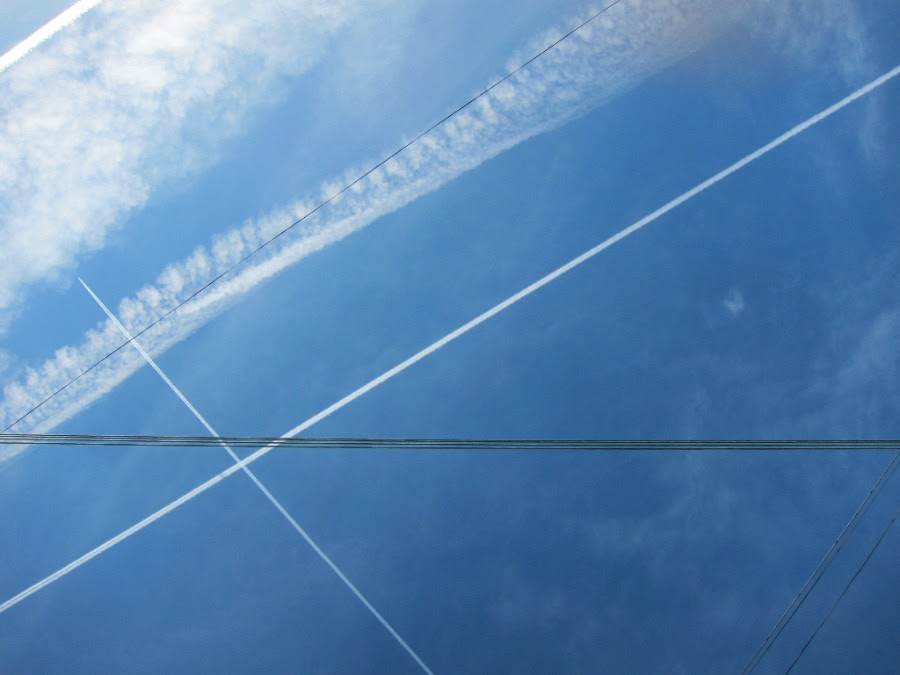 Nevan Lahart: Disguise the Limit | Thursday 8 September  – Saturday 8 October 2016 | Kevin Kavanagh