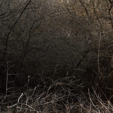 Paul Gaffney: Perigee |  Photo Museum Ireland 
Meeting House Square Temple Bar, Dublin 2 | Wednesday 12 October to Friday 18 November 2016 | to 