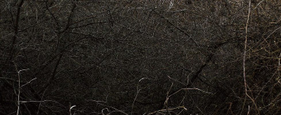 paul-gaffney_perigee-13_high-res_1-sq