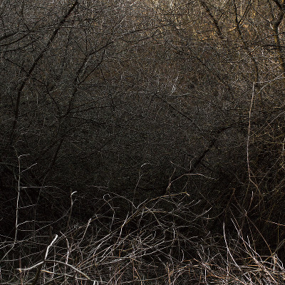 Paul Gaffney: Perigee |  Photo Museum Ireland 
Meeting House Square Temple Bar, Dublin 2 | Wednesday 12 October to Friday 18 November 2016 | to 