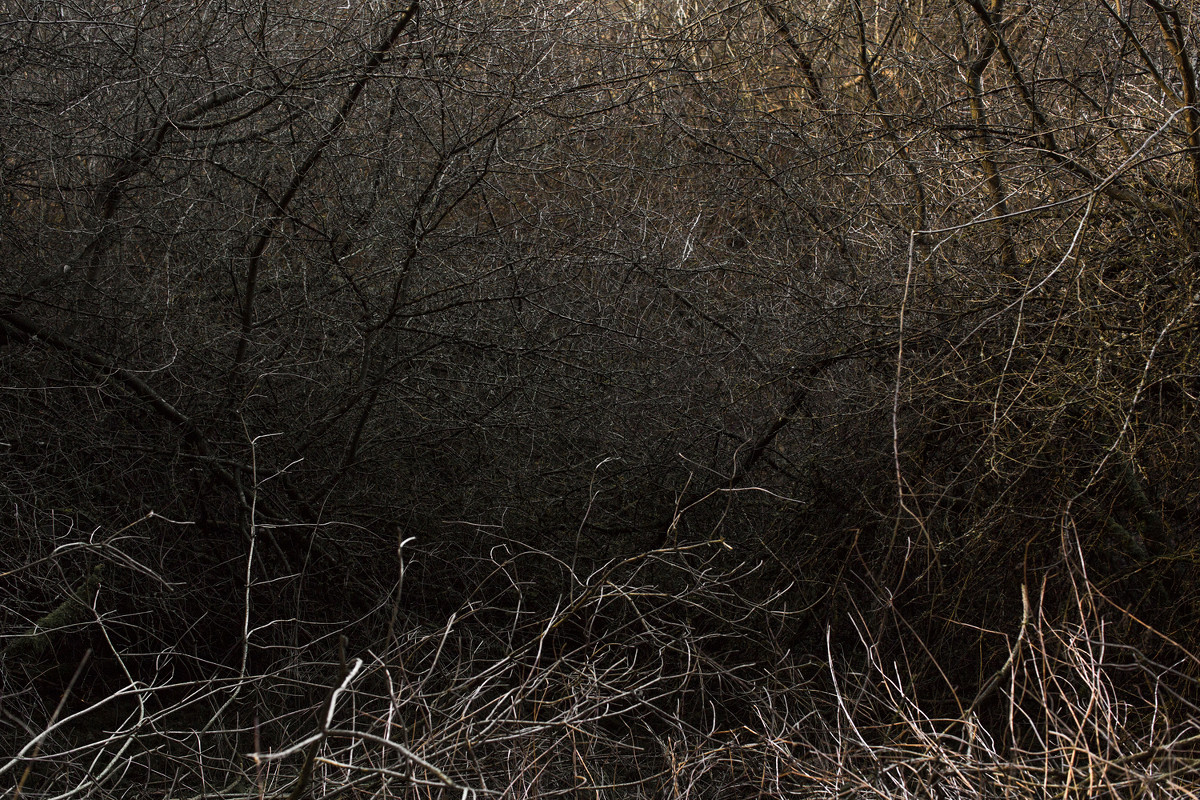 Paul Gaffney: Perigee | Wednesday 12 October  – Friday 18 November 2016 | Photo Museum Ireland