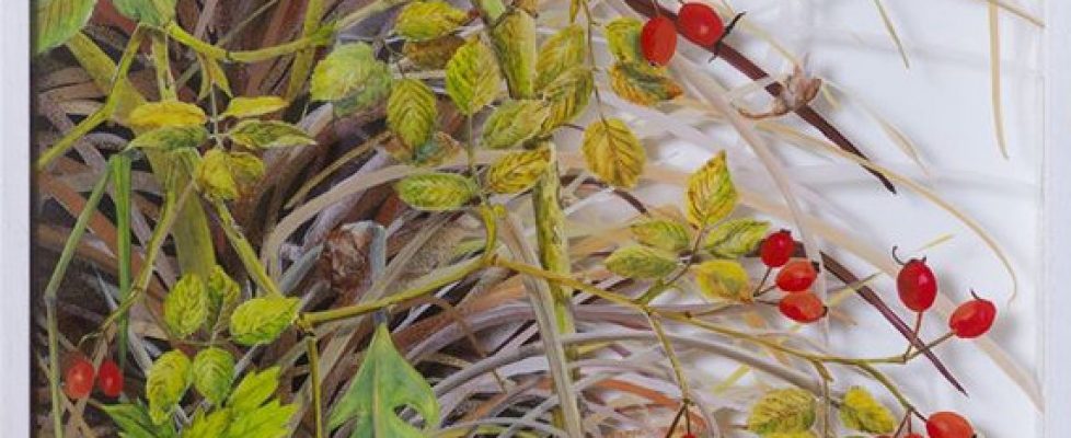 rosehips-with-palm-fronds-october-60cm-x-38cm