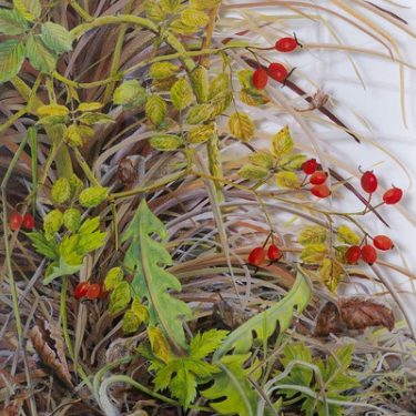 Yanny Petters: “Come with me, I’ll show you something beautiful” |  Olivier Cornet Gallery 
3 Great Denmark Street (beside Belvedere College) Dublin 1 | Sunday 9 October to Sunday 6 November 2016 | to 