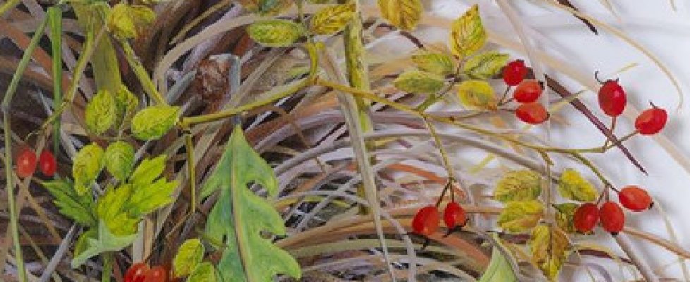 rosehips-with-palm-fronds-october-60cm-x-38cm-sq