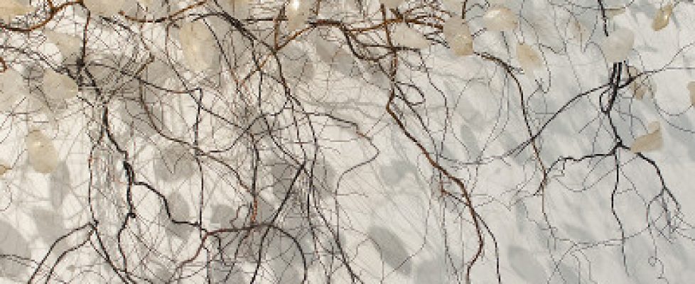 sa14-rachel-doolin-promethean-illusions-2-student-photo-sq