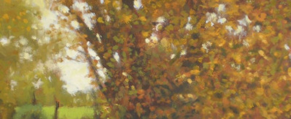 trevorgeoghegan1-lg-sq