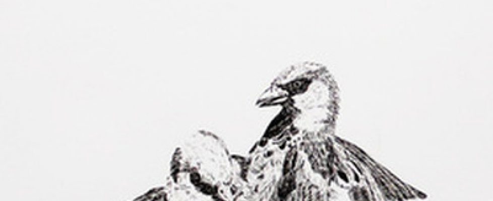 adam-and-steve-forweb_1sq