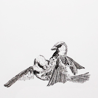 Nick Jarman: Formerly Wildlife |  Wexford Arts Centre 
Cornmarket, Wexford | Saturday 15 October to Saturday 12 November 2016 | to 