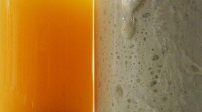 The Subnatural and MONTO | Tuesday 18 October  – Friday 21 October 2016 | ArtBox