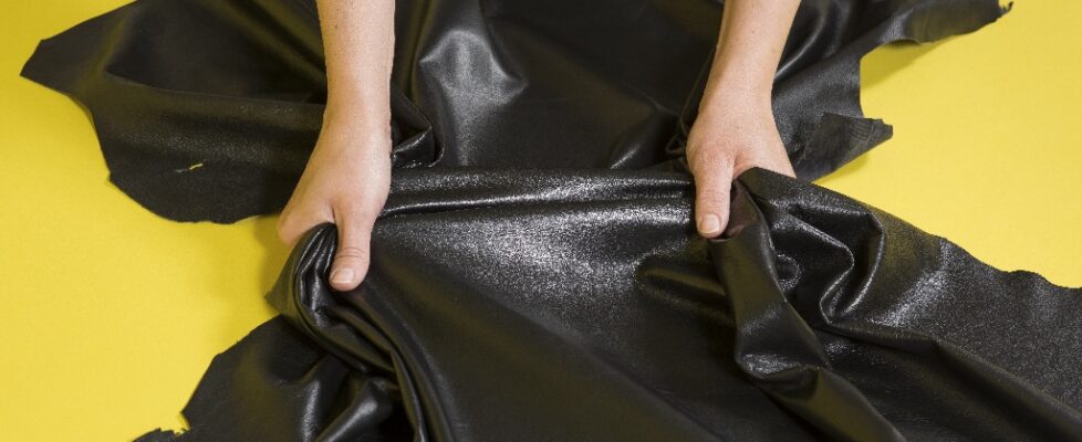 barbara-knezevic-image_lou3104-1024×683