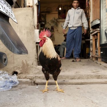 A Creative County |  Regional Cultural Centre 
Port Road, Letterkenny Co. Donegal | Friday 11 November 2016 to Saturday 28 January 2017 | to 