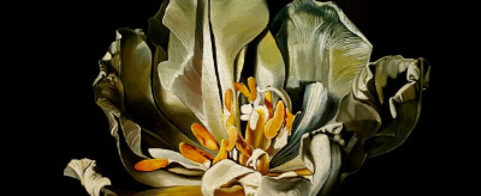 The Golden Age by Sarah Standing