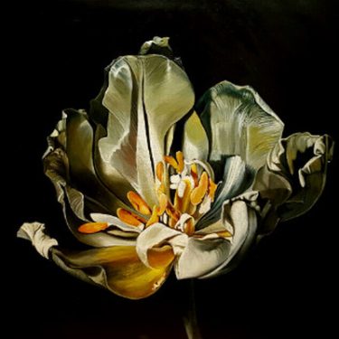 Going Solo ’16 |  Toradh Gallery 
Ashbourne Cultural Centre Ashbourne, Co. Meath | Tuesday 13 December 2016 to Tuesday 31 January 2017 | to 